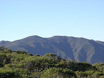 Montara Mountain.jpg