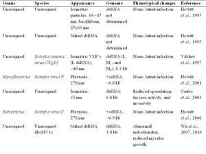 Mycoviruses of Botrytis cinerea