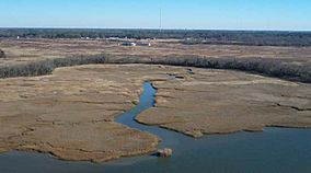 Nansemond national wildlife refuge.jpg