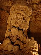 NaturalBridgeCaverns12