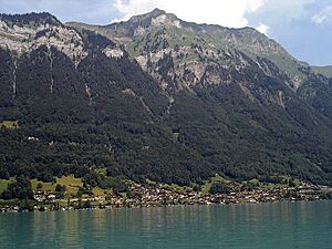 Niederried Brienzersee wb