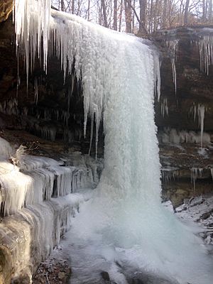 Nolin Lake State Park.jpg