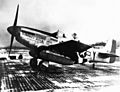 P51-1 300