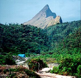 Pico da Neblina.jpg