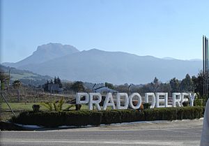 Prado del Rey