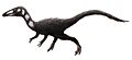 Procompsognathus