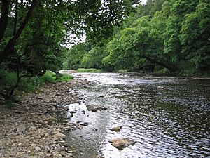 River Hodder