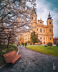 Roman Catholic Basilica