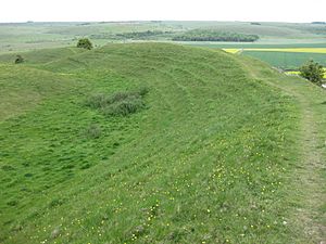 Scratchbury Camp earthworks 10