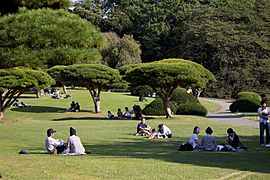 Shinjuku gyoen sunny autumn day