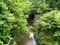 Smestow Brook 20 Tettenhall