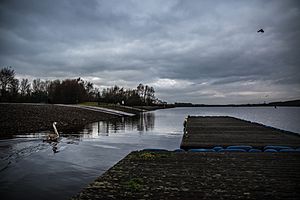 Strathclyde Gloom