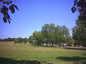 Streatham Common in 2005