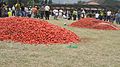 Tomatina Colombia