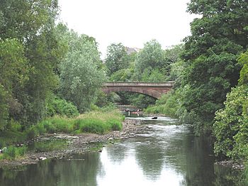 Wfm kelvingrove park.jpg