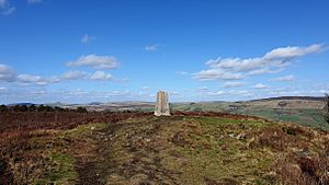 20210324 Gun hill summit