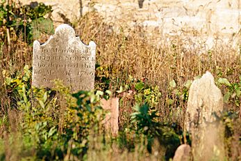 Albert Schenck Gravestone