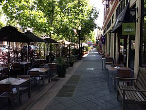 Castro Street Mountain View sidewalk