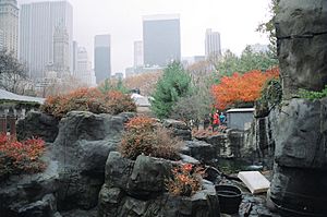 Central Park Zoo