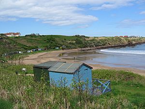 Coldingham Beachhuts1