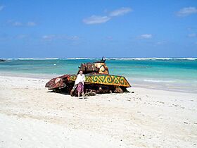 Culebra tank na pláži Flamenco