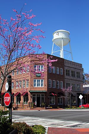 Downtown Senoia