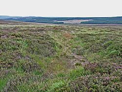 Fylingdales Moor