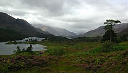 Glen Affric.jpg