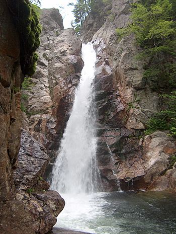 Glen Ellis Falls.jpg