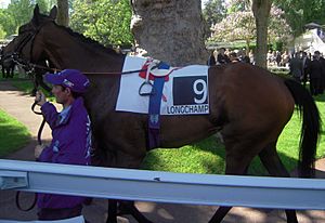 Goldikova