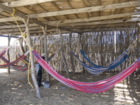 Hammockguajira