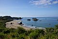 Harris Beach overlook July 2009