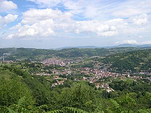 The town of Langreo at the Nalón Valley