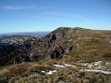 Mount-howitt-summit.jpg