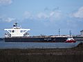 Ocean Corona (ship, 2009) IMO 9410404, Mississippi haven Port of Rotterdam pic1