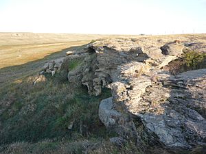 Old Woman's Buffalo Jump.JPG