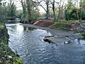 Remains of a weir on the River Brent - geograph.org.uk - 1068307