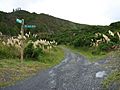 Rimutaka Incline 15