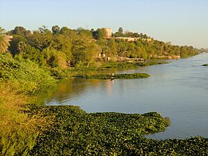 Rive du Niger, dans Niamey.jpg