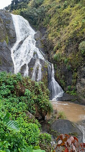 Salto-grande