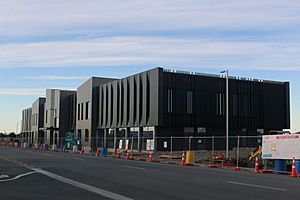 Selwyn Health Hub 27