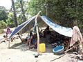 Shelter from tarp and sticks