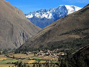 Snows of the Andes (7914098320)