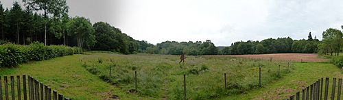 Source de l'Yonne (Panoramique)