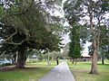 Speers Point lakeside walk near wharf