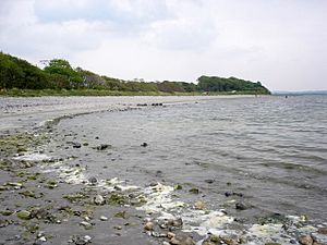 Stony beach at Drumcliffe bay - geograph.org.uk - 811036