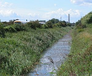 Thames and Medway Canal