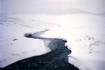 The Eucumbene 1990.jpg