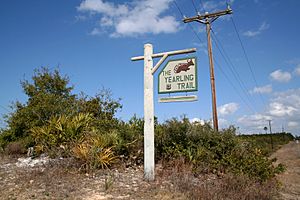 Theyearlingtrailentrance2006