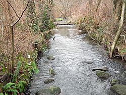 Thornton Creek Meadowbrook Seattle2.JPG